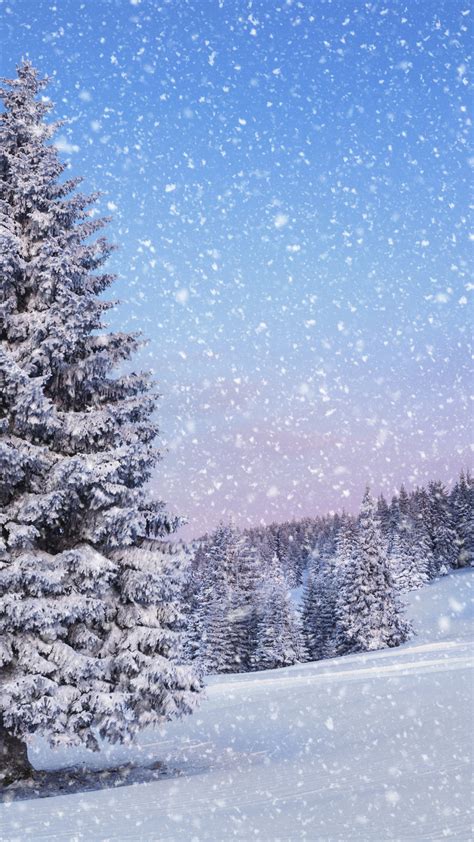 We offer an extraordinary number of hd images that will instantly freshen up your smartphone or computer. Winter Wonderland Desktop Wallpaper (47+ images)