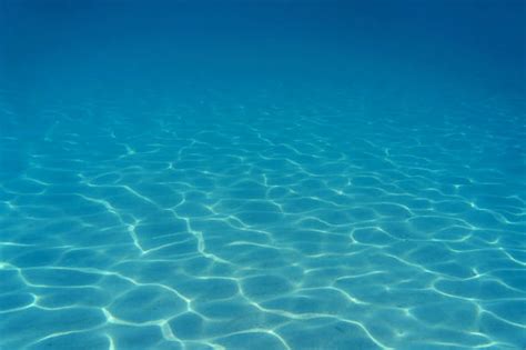 Best Ocean Floor Stock Photos Pictures And Royalty Free Images Istock