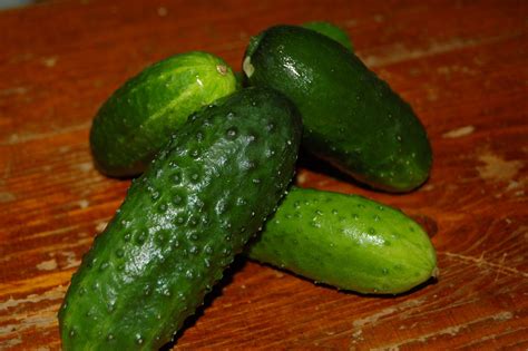 Muslim Cleric Suspended After Anal Sex With Cucumber Lands Him In