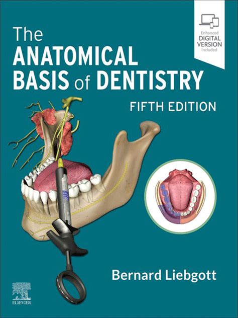 The Anatomical Basis Of Dentistry 5th Edition Vasiliadis Medical Books