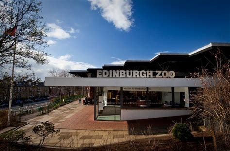 Remodelled Entrance To Edinburgh Zoo Interiors And Exhibitions