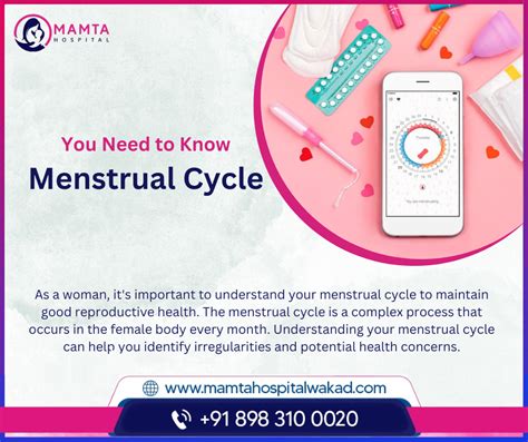 Understanding Menstrual Cycle What You Need To Know