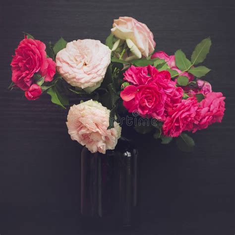 Still Life With Roses In A Vase Stock Photo Image Of Roses Dark