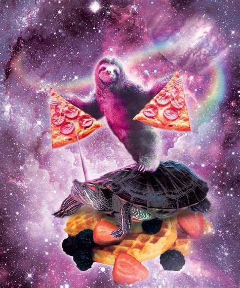 Space Pizza Sloth On Turtle Unicorn On Waffles Digital Art By Random Galaxy Pixels