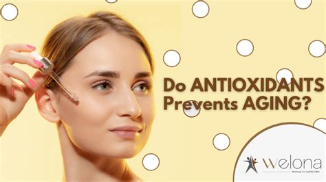 role of antioxidants in slowing down skin aging welona