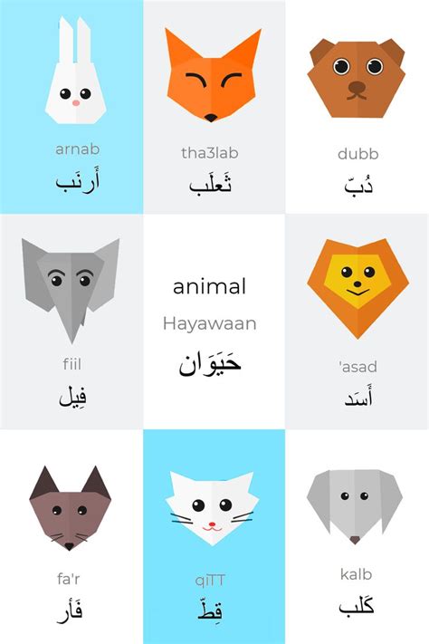 Different Animals Name In Arabic