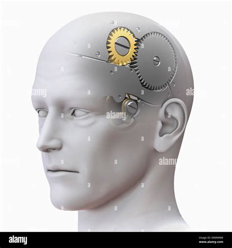 Anatomical Model Of A Human Head Representing The Human Mind As A Gear