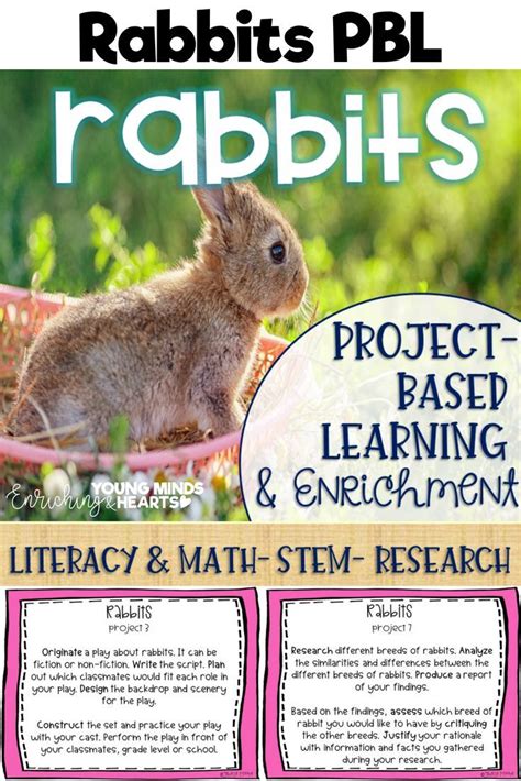These Rabbit Themed Project Based Learning And Enrichment Projects Put
