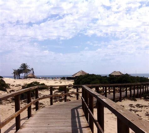 Playa Carabassi En Santa Pola 24 Opiniones Y 134 Fotos