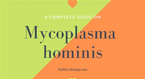 Mycoplasma Hominis Ask Microbiology