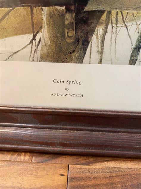 Andrew Wyeth “cold Spring” Framed Print