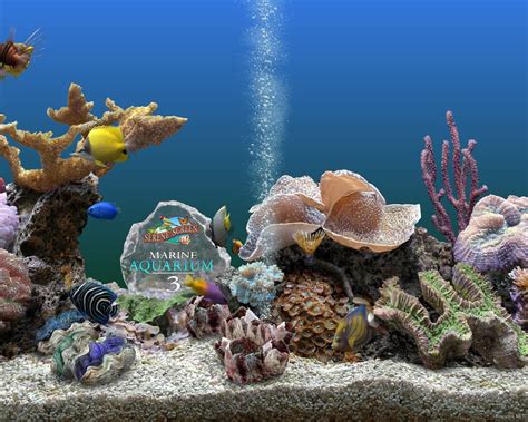 Marine Aquarium V2 6 Screensaver Poiwrapwebhes Blog