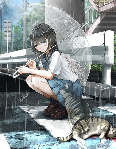 Anime Cats With Wings
