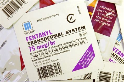 Un Panel Slaps Trade Controls On Chemicals Used To Make Fentanyl Wsj