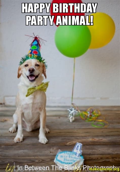Happy Birthday Party Animal Make A Meme