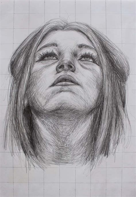 Looking Up Drawing At Explore Collection Of