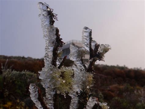 Suas mudanças mais dramáticas, no entanto, ocorreram nos últimos cinco séculos, depois do descobrimento do brasil. Neve no Rio Grande do Sul e Santa Catarina - MetSul ...