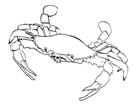 Horseshoe Crab Coloring Page at GetDrawings | Free download