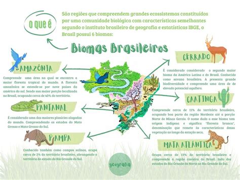 Mapa Mental Biomas Brasileiros Biomas Bioma Brasileiro Biodiversidade
