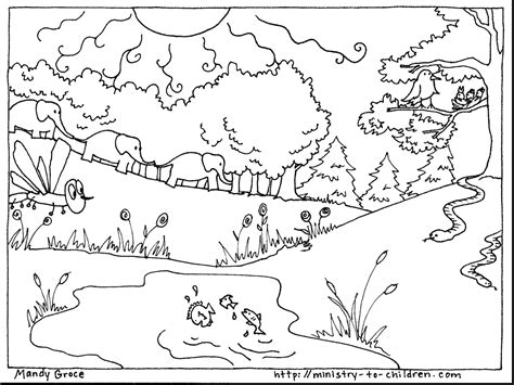 Printable bible coloring pages creation free colouring. Creation Coloring Pages Pdf at GetColorings.com | Free ...