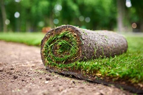 How To Harvest Your Own Sod To Repair Lawn Areas ~ Greenview