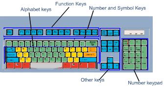 The keyboard and computer mouse are input devices. Level1 - WikiEducator