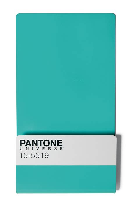 Pantone® 15 5519 Wallstore With 6 Mini Magnets Pantone Colour