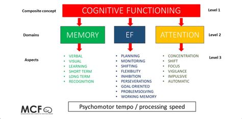 This Figure Shows A Conceptual Model Of The Levels Of Cognitive