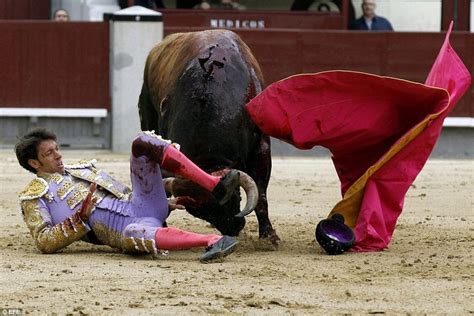 بالصور الثيران تتغلب على مصارعيها وتتسبب في إلغاء مهرجان مدريد