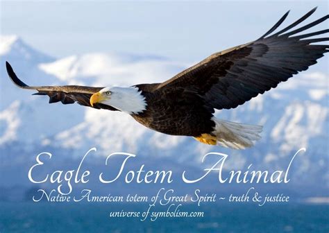Eagle Spirit And Totem Animal Is The Ruler Of The Skies Eagle Is A