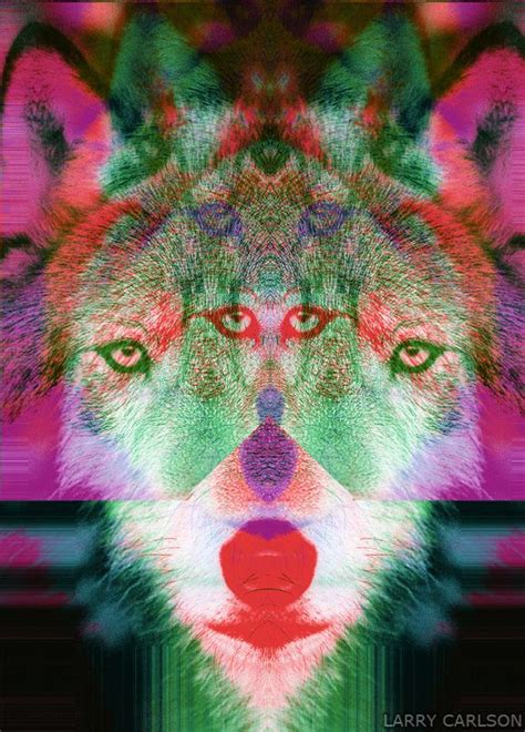 Larry Carlson Glitch Wolf 3 Digital Photography 2012 Psychedelic