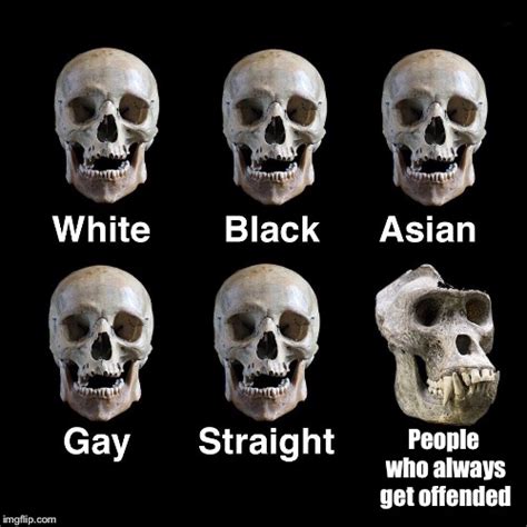Skulls Memes And S Imgflip