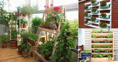 A vertical garden is a garden that grows upward (vertically) using a trellis or other support system, rather than on the ground (horizontally). 17 Creative Vertical Balcony Garden Ideas • India Gardening