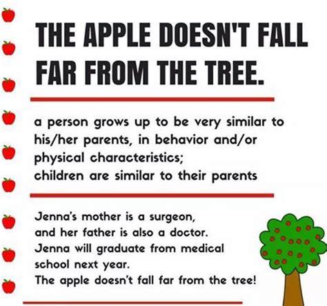 Saying The Apple Doesn T Fall Far From The Tree Means That A Person Is Similar To One Or Both