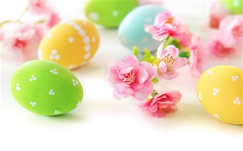 Download Wallpapers Easter Spring Flowers Easter Eggs White