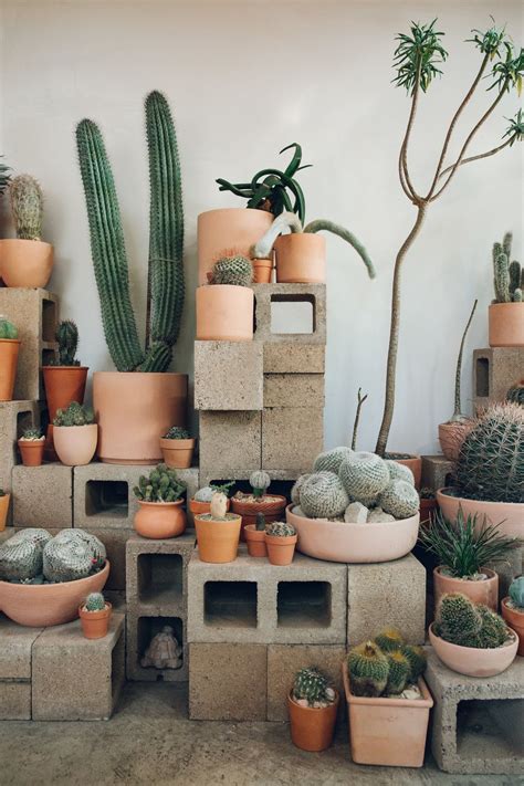 Are you looking to buy succulents online? Inside Cactus Store in Echo Park, Los Angeles — California ...