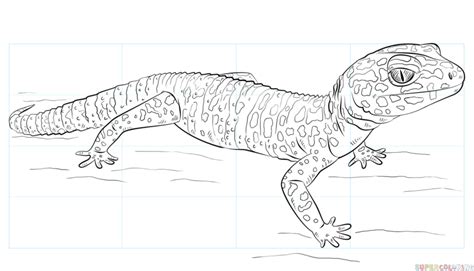 How To Draw A Leopard Gecko Step By Step Drawing Tutorials Leopard
