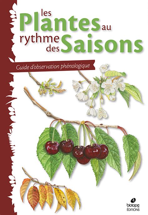 Les plantes au rythme des saisons : Guide d'observation phénologique