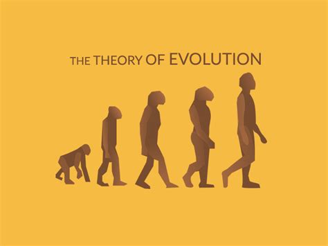 Theory Of Evolution Charles Darwin And Natural Selection Earth How