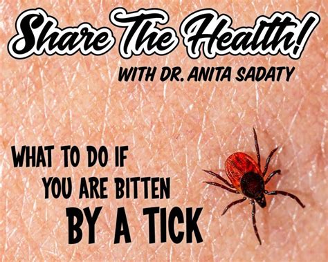 What To Do If You Are Bitten By A Tick • Dr Sadaty Gynecology