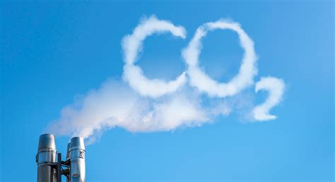 Investor Questions On Carbon Pricing And Offsets