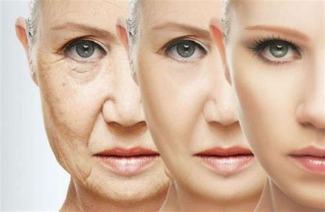 Chronological Ageing Of Your Skin Dermal Essence