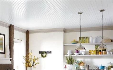 More information can be found about asp on our website, asphome.org. 10 Most Popular Materials To Replace Your Mobile Home Ceiling