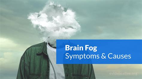 What Is Brain Fog Symptoms Causes And Treatments Evidencelive