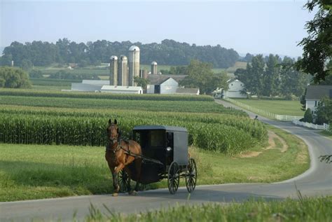 Best Value Authentic Amish Tours In Lancaster County The Amish Village