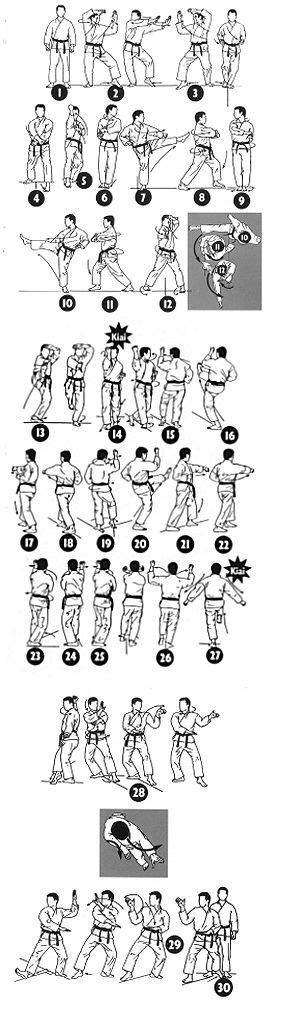 Their kata list often includes taikyoku shodan (a kihon kata) as well as the traditional 26 shotokan kata. Pin de Jeff Leitz em karate | Marcial, Planos de treino ...