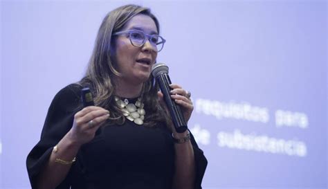 Ministra De Minas Renuncia La Ministra De Minas Y Energía María