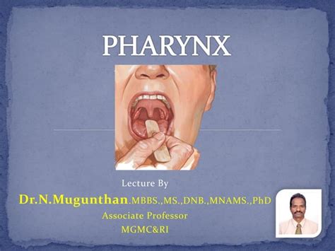 Pharynx Drnmugunthanms