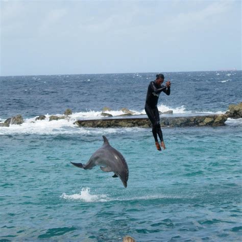 Curacao Underwater Marine Park Willemstad 2023 Alles Wat U Moet