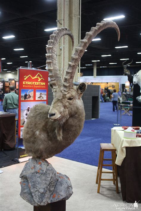 Sci Convention 2014 Taxidermy Mounts